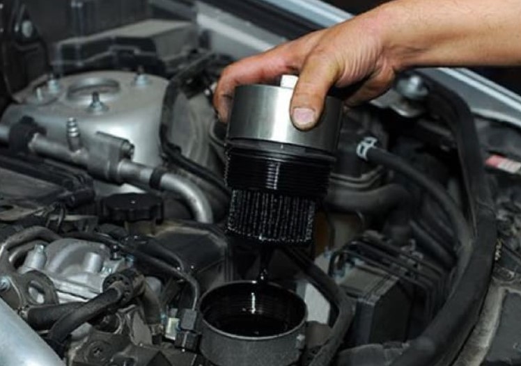 Close-up of the oil filter on the vehicle.